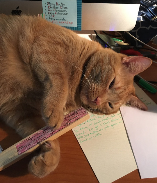 Flynn, large orange tabby, laying on a half-written letter, with a folded paper fan between his paws