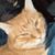 Profile picture of Sheryl